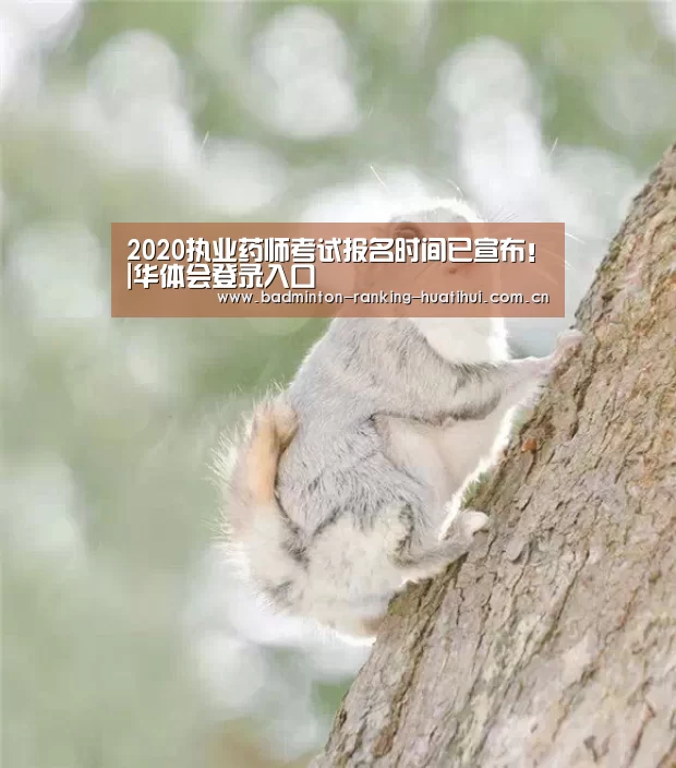 华体会登录入口