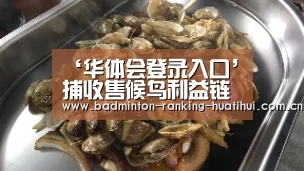 华体会首页