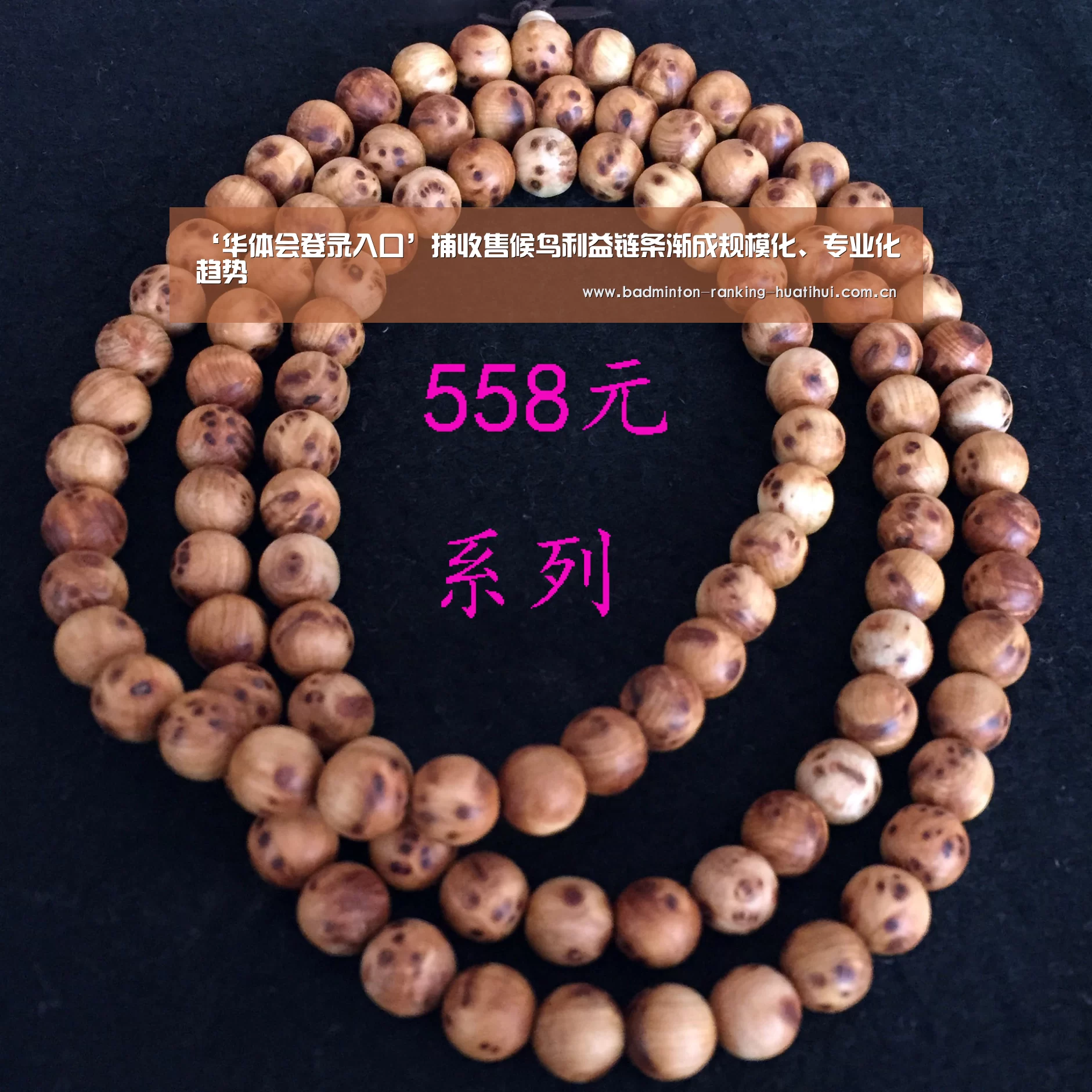 华体会登录入口